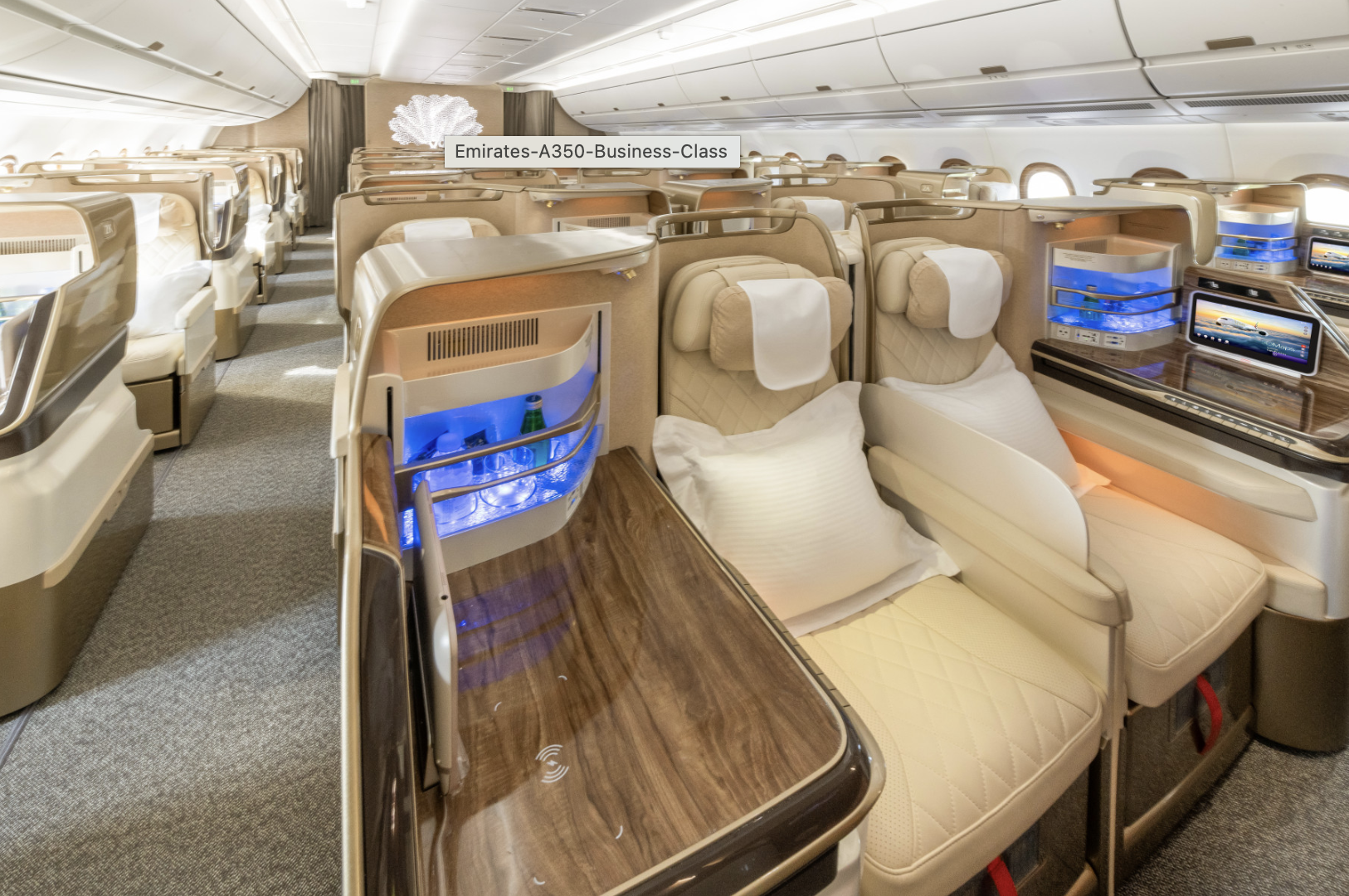 Italy Business Class Round Trip